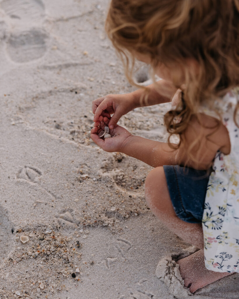 little girl looks for seashells