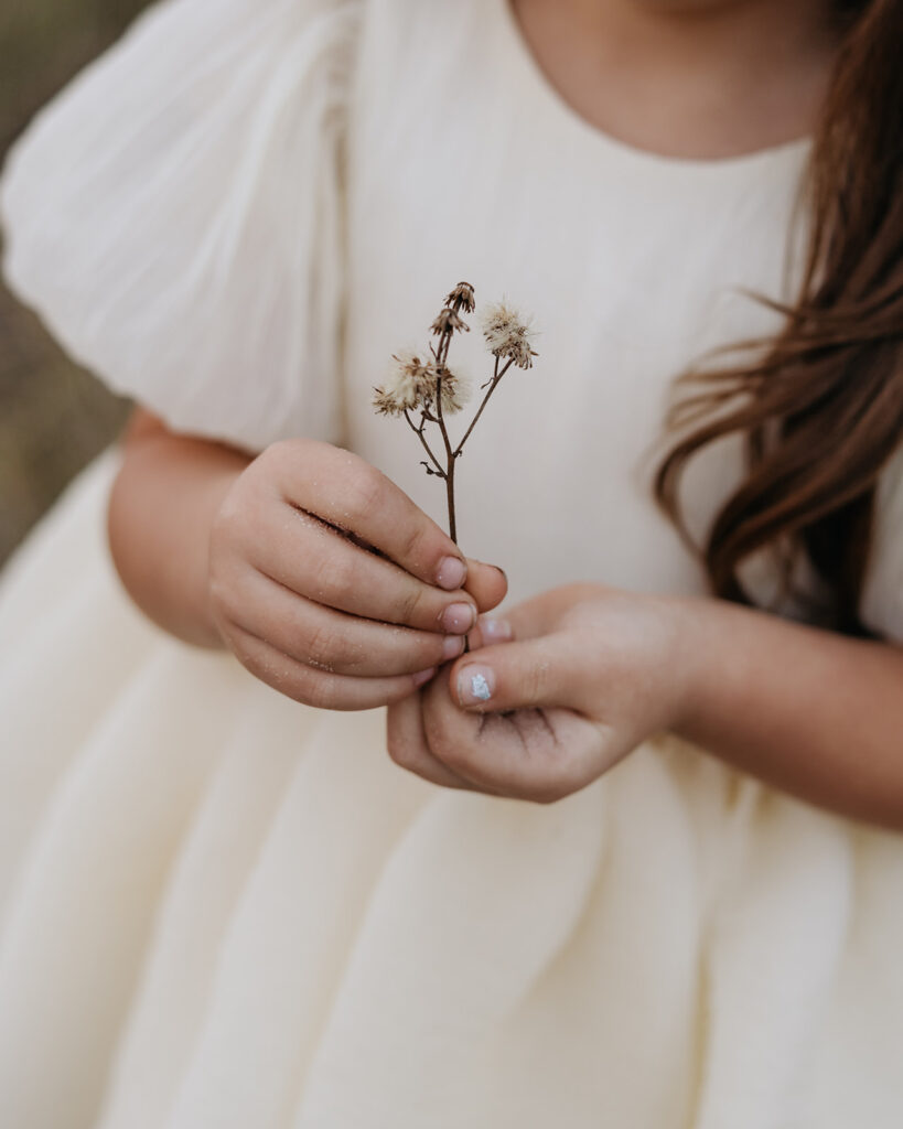little girl holds a dandelion