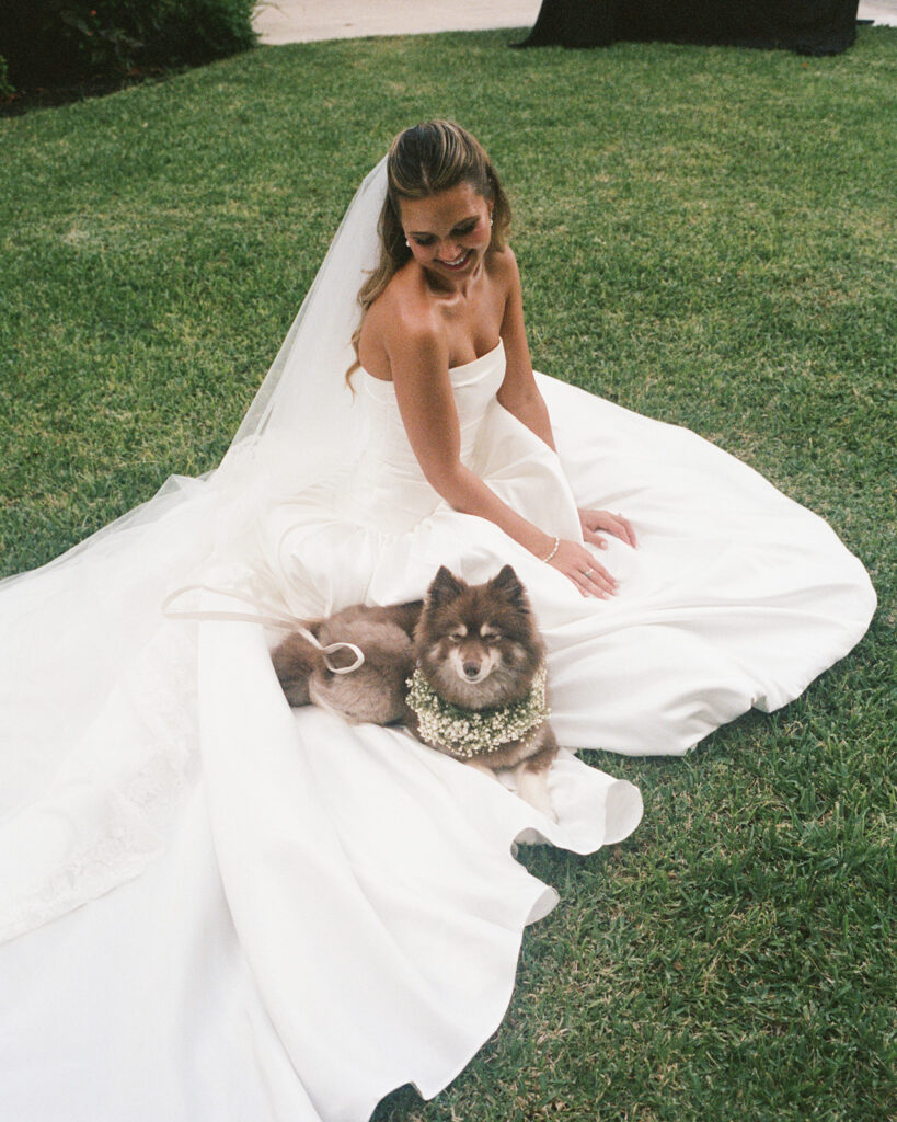 bride and her dog ring bearer