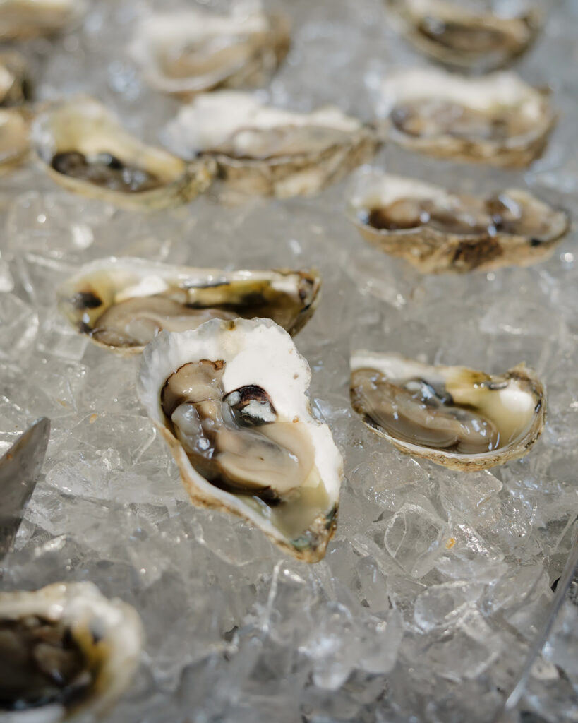 best wedding videographer